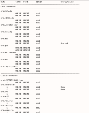 Checking Oracle RAC Network and IPs information